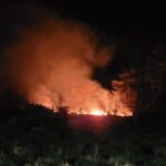 Purbeck heath fires treated as suspicious