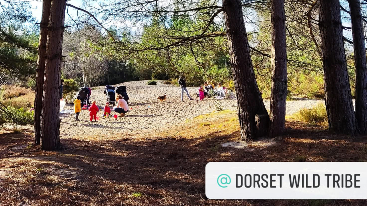 Free Verwood outdoor family group restarts